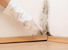 Best Mold Remediation for Healthcare Facilities  in Southern Shores, NC